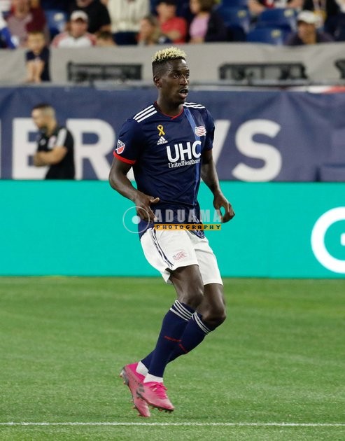MLS 2019